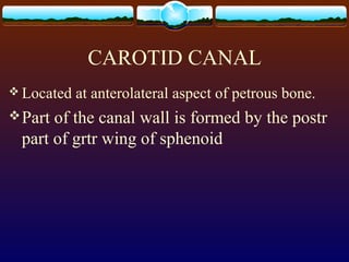 CAROTID CANAL
 Located at anterolateral aspect of petrous bone.
Part of the canal wall is formed by the postr
part of grtr wing of sphenoid
 