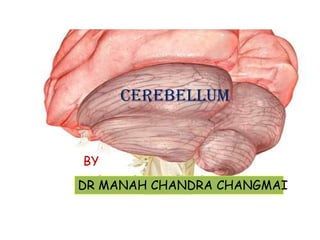 CEREBELLUM<br />BY<br />DR MANAH CHANDRA CHANGMAI<br />
