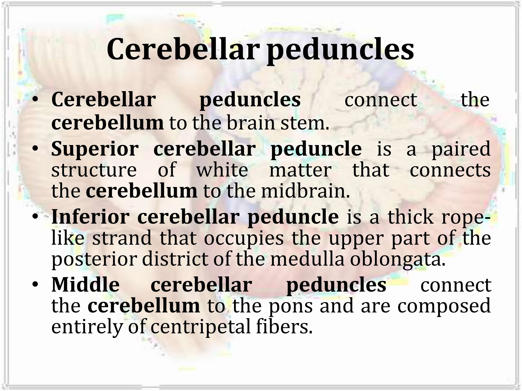 Cerebellar peduncles
• Cerebellar peduncles connect the
cerebellum to the brain stem.
• Superior cerebellar peduncle is a paired
structure of white matter that connects
the cerebellum to the midbrain.
• Inferior cerebellar peduncle is a thick rope-
like strand that occupies the upper part of the
posterior district of the medulla oblongata.
• Middle cerebellar peduncles connect
the cerebellum to the pons and are composed
entirely of centripetal fibers.
 