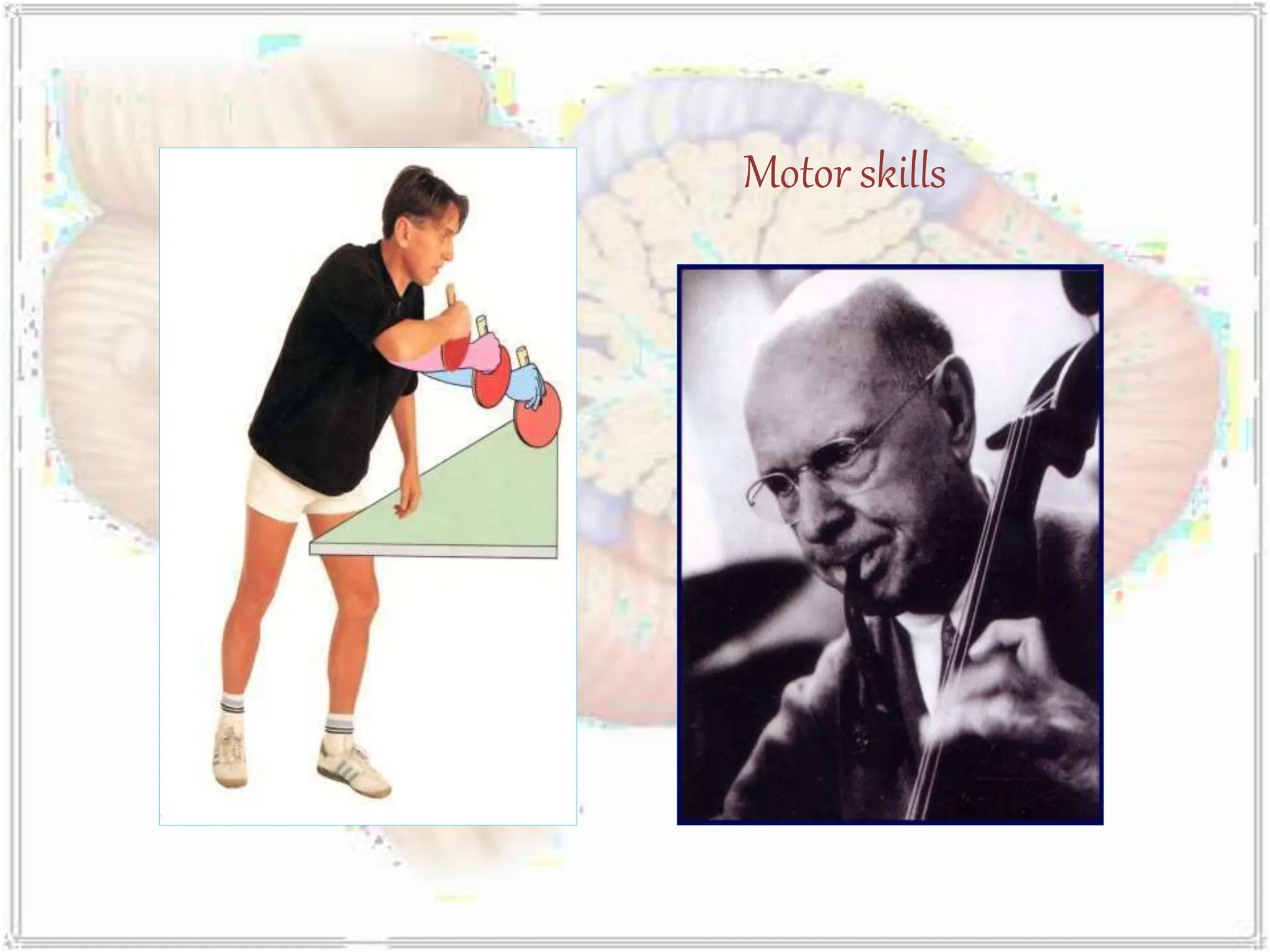 Motor skills
 