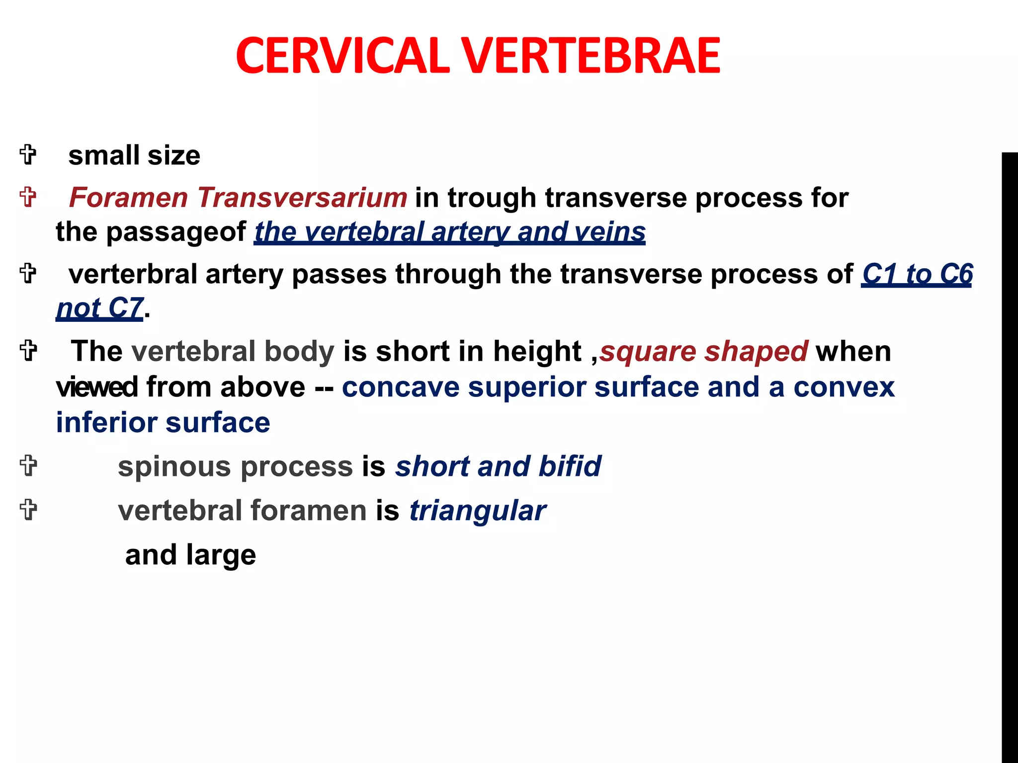 Anatomy of cervical spine | PPT