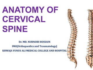 ANATOMY OF
CERVICAL
SPINE
Dr. MD. NURNOBI HOSSAIN
IMO[Orthopaedics and Traumatology]
KHWAJA YUNUS ALI MEDICAL COLLEGE AND HOSPITAL
 
