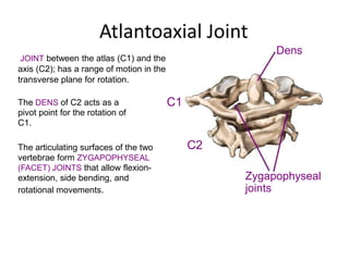 Atlantoaxial Joint
Dens
JOINT between the atlas (C1) and the
axis (C2); has a range of motion in the
transverse plane for ...