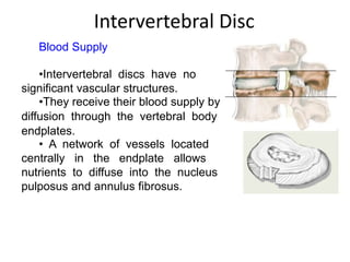 Intervertebral Disc
Blood Supply
•Intervertebral discs have no
significant vascular structures.
•They receive their blood ...