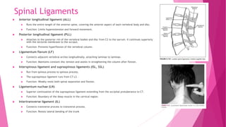 Anatomy of Cervical, Thoracal, Lumbar, Sacral Vertebrae.pptx