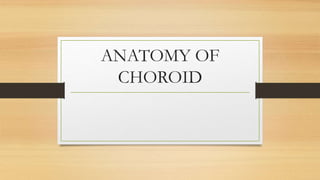 ANATOMY OF
CHOROID
 