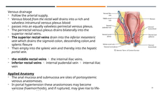 Rectate Clot Anatomy of colon rectum anus lower GI maligngncy_20d431ce-4440-4087 ...