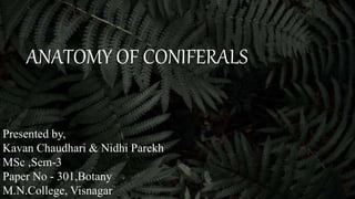 ANATOMY OF CONIFERALS
Presented by,
Kavan Chaudhari & Nidhi Parekh
MSc ,Sem-3
Paper No - 301,Botany
M.N.College, Visnagar
 