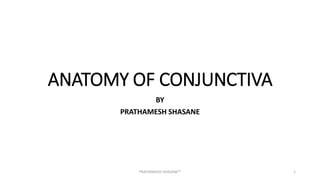 ANATOMY OF CONJUNCTIVA
BY
PRATHAMESH SHASANE
PRATHAMESH SHASANE™ 1
 