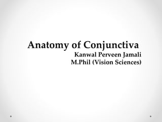 Anatomy of Conjunctiva
Kanwal Perveen Jamali
M.Phil (Vision Sciences)
 