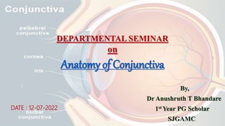 DEPARTMENTAL SEMINAR
on
Anatomy of Conjunctiva
By,
Dr Anushruth T Bhandare
1st Year PG Scholar
SJGAMC
DATE : 12-07-2022
1
 