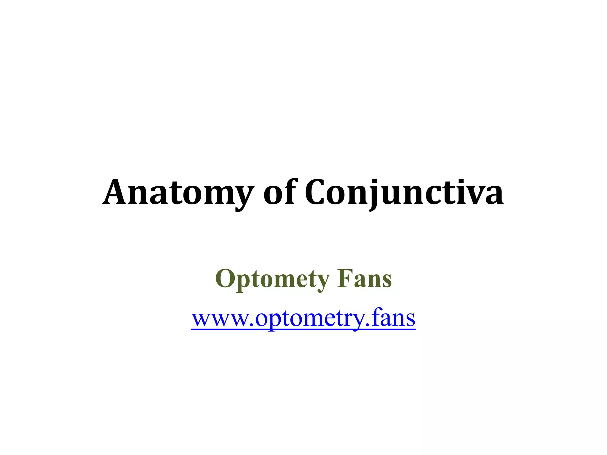 Anatomy of Conjunctiva
Optomety Fans
www.optometry.fans
 