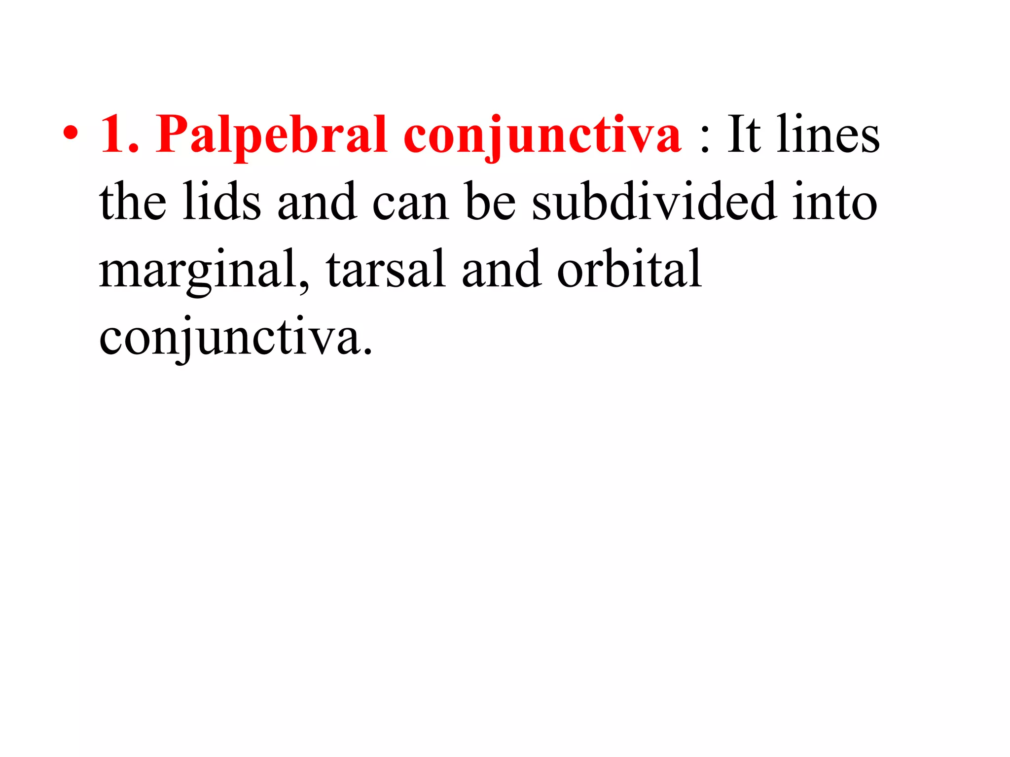 • 1. Palpebral conjunctiva : It lines
the lids and can be subdivided into
marginal, tarsal and orbital
conjunctiva.
 