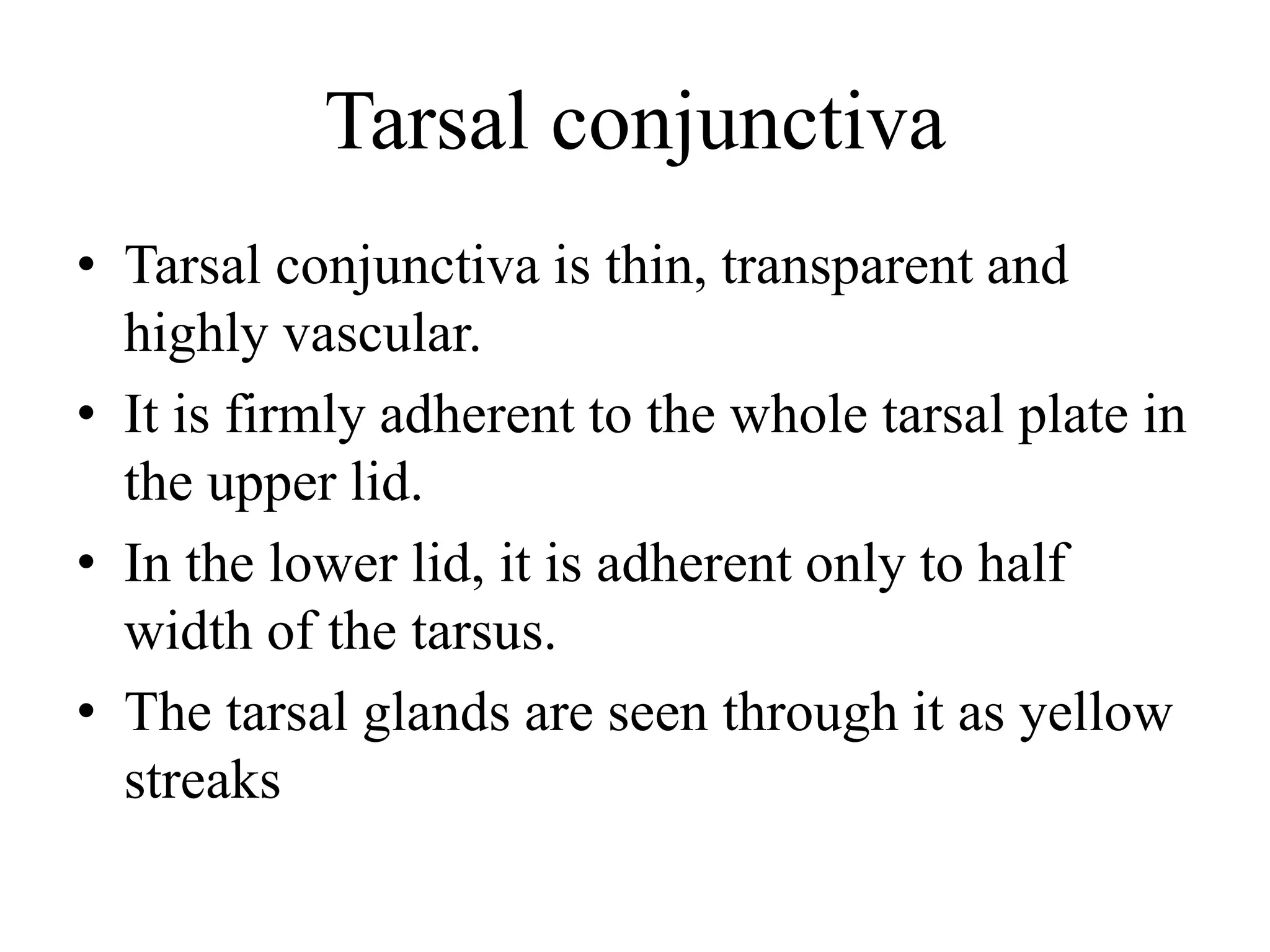 Tarsal conjunctiva
• Tarsal conjunctiva is thin, transparent and
highly vascular.
• It is firmly adherent to the whole tarsal plate in
the upper lid.
• In the lower lid, it is adherent only to half
width of the tarsus.
• The tarsal glands are seen through it as yellow
streaks
 