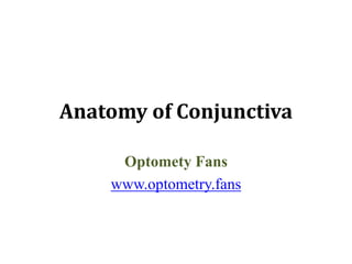 Anatomy of Conjunctiva
Optomety Fans
www.optometry.fans
 