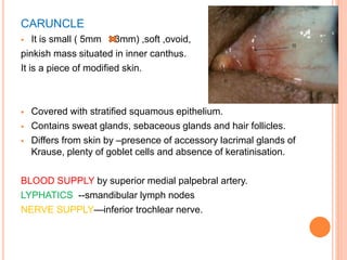 anatomy and pathophysiology of conjunctiva.pptx