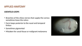 anatomy of conjunctiva and sclera- Dr Sanjana.pptx