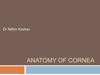 ANATOMY OF CORNEA
Dr Nithin Keshav
 