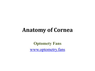 Anatomy of Cornea
Optomety Fans
www.optometry.fans
 