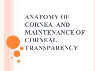 ANATOMY OF
CORNEA AND
MAINTENANCE OF
CORNEAL
TRANSPARENCY
 