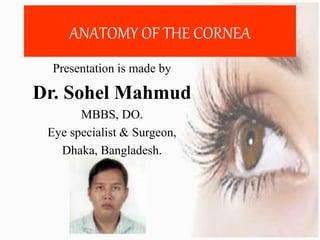 ANATOMY OF THE CORNEA
Presentation is made by
Dr. Sohel Mahmud
MBBS, DO.
Eye specialist & Surgeon,
Dhaka, Bangladesh.
 