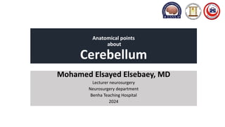 Anatomical points
about
Cerebellum
Mohamed Elsayed Elsebaey, MD
Lecturer neurosurgery
Neurosurgery department
Benha Teaching Hospital
2024
 