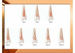 Anatomy of dental pulp.pdf