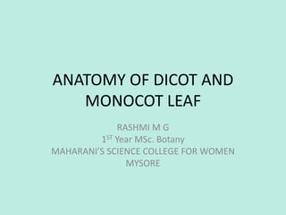 ANATOMY OF DICOT AND
MONOCOT LEAF
RASHMI M G
1ST Year MSc. Botany
MAHARANI’S SCIENCE COLLEGE FOR WOMEN
MYSORE
 