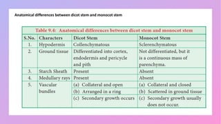 Anatomical differences between dicot stem and monocot stem
 