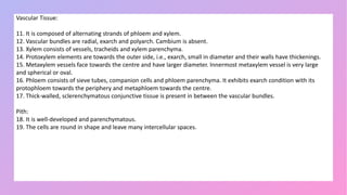 Vascular Tissue:
11. It is composed of alternating strands of phloem and xylem.
12. Vascular bundles are radial, exarch and polyarch. Cambium is absent.
13. Xylem consists of vessels, tracheids and xylem parenchyma.
14. Protoxylem elements are towards the outer side, i.e., exarch, small in diameter and their walls have thickenings.
15. Metaxylem vessels face towards the centre and have larger diameter. Innermost metaxylem vessel is very large
and spherical or oval.
16. Phloem consists of sieve tubes, companion cells and phloem parenchyma. It exhibits exarch condition with its
protophloem towards the periphery and metaphloem towards the centre.
17. Thick-walled, sclerenchymatous conjunctive tissue is present in between the vascular bundles.
Pith:
18. It is well-developed and parenchymatous.
19. The cells are round in shape and leave many intercellular spaces.
 