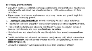 Secondary growth in stem:
• Growth in thickness in stem becomes possible due to the formation of new tissues
entirely by the activity of two lateral meristems - (i) Vascular cambium (ii) Cork
cambium.
• These tissues thus formed are known as secondary tissues and growth in girth is
referred as secondary growth.
1. Activity of vascular cambium -Forms secondary vascular tissue as follows:-
• The strip of cambium present in the vascular bundle is called Fascicular Cambium.
• The cells of medullary rays adjoining the strip of vascular (Fascicular) cambium
become meristematic and form interfascicular cambium.
• Both fascicular and inter-fascicular cambium join to form a continuous cambium
ring.
• Cambium divides and adds cells on internal side (towards pith) which mature into
secondary xylem and cells added towards external side (periphery ) mature into
secondary phloem.
• Amount of secondary xylem produced is more than secondary phloem
 
