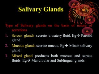 Saliva Types Anatomy of digestive system | PPT
