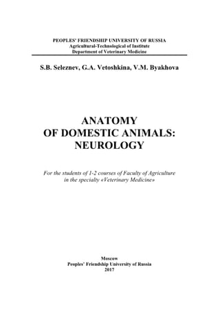 Anatomy of domestic animals neurology.