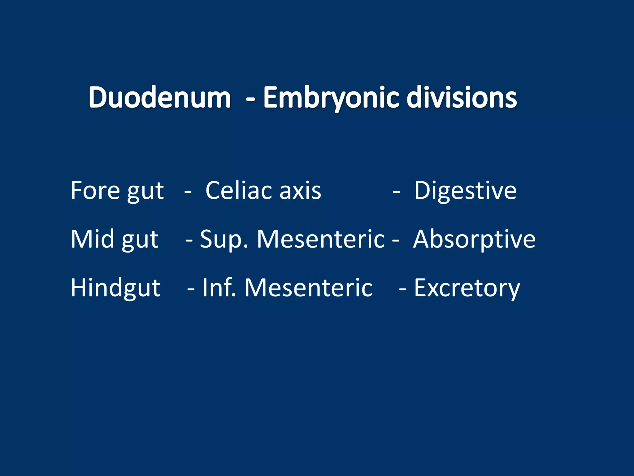 Fore gut - Celiac axis - Digestive
Mid gut - Sup. Mesenteric - Absorptive
Hindgut - Inf. Mesenteric - Excretory
 
