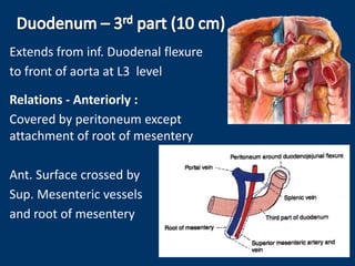 Extends from inf. Duodenal flexure
to front of aorta at L3 level
Relations - Anteriorly :
Covered by peritoneum except
attachment of root of mesentery
Ant. Surface crossed by
Sup. Mesenteric vessels
and root of mesentery
 