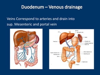 Veins Correspond to arteries and drain into
sup. Mesenteric and portal vein
 