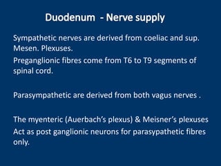 Sympathetic nerves are derived from coeliac and sup.
Mesen. Plexuses.
Preganglionic fibres come from T6 to T9 segments of
spinal cord.
Parasympathetic are derived from both vagus nerves .
The myenteric (Auerbach’s plexus) & Meisner’s plexuses
Act as post ganglionic neurons for parasypathetic fibres
only.
 
