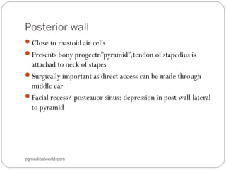 Posterior wall
Close to mastoid air cells
Presents bony progectn”pyramid”,tendon of stapedius is
attachad to neck of stapes
Surgically important as direct access can be made through
middle ear
Facial recess/ posteauor sinus: depression in post wall lateral
to pyramid
pgmedicalworld.com
 