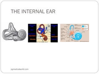 THE INTERNAL EAR
pgmedicalworld.com
 