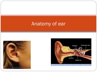 Anatomy of ear
pgmedicalworld.com
 