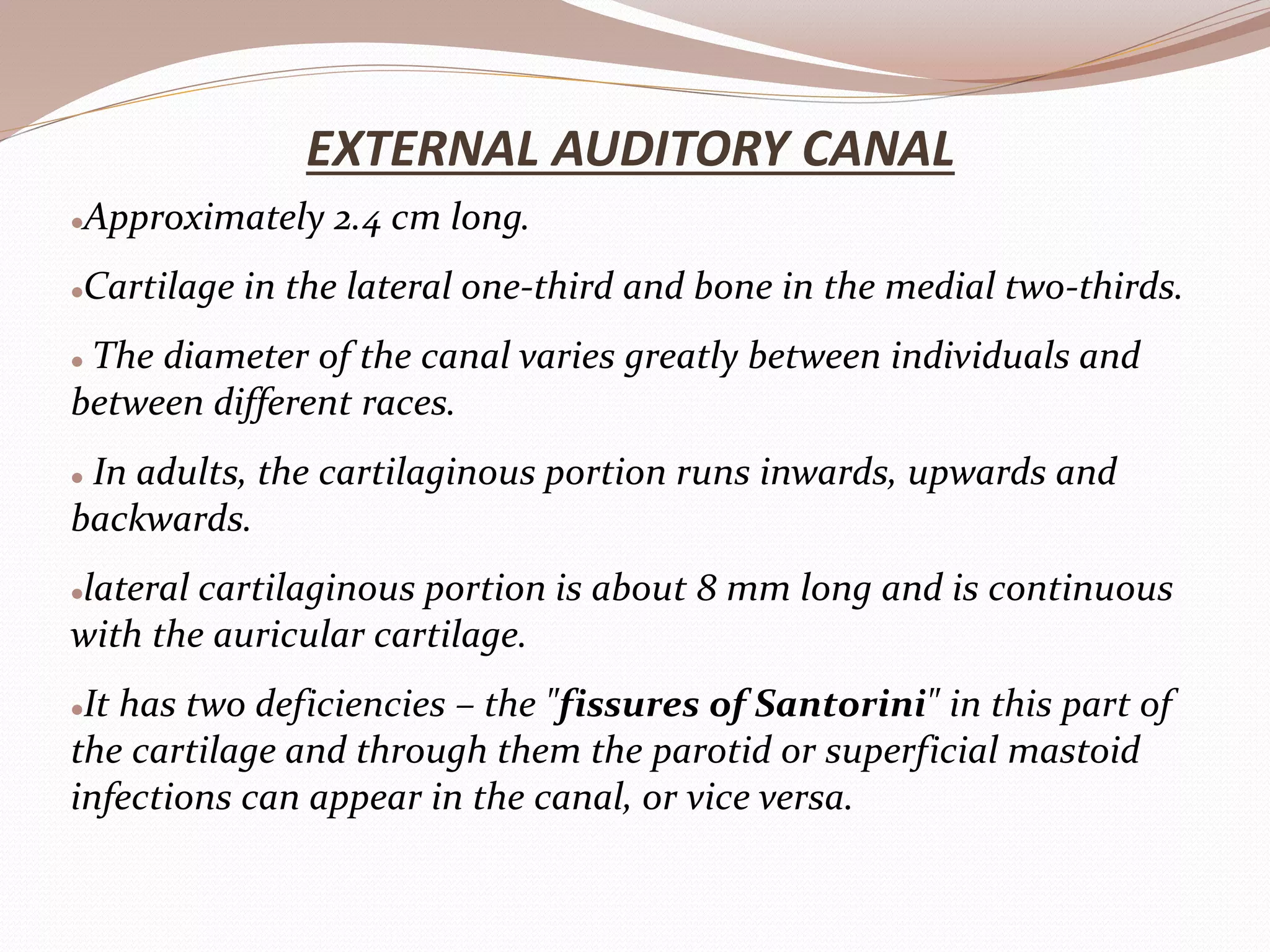 Anatomy of ear | PPTX