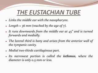 Anatomy of ear | PPTX