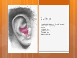 Anatomy of ear | PPTX