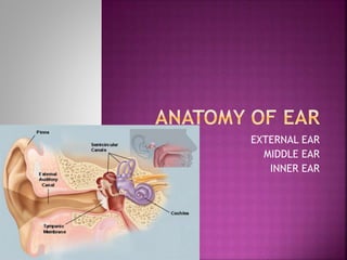 EXTERNAL EAR
MIDDLE EAR
INNER EAR
 