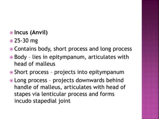 Incus Project Anatomy of ear | PPTX