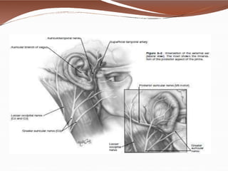 Anatomy of ear by dr. bomkar bam (MS) ent | PPTX