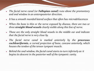 Anatomy of ear by dr. bomkar bam (MS) ent | PPTX