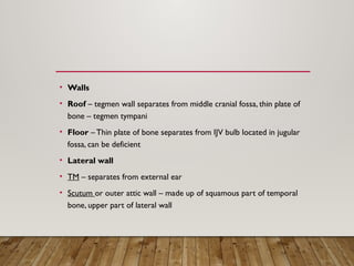 Scutum In Ear Comprehensive Anatomy of the Human Ear: External, Middle, and Inner ...