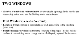 COMPLETE ANATOMY OF HUMAN EAR (LECTURE # 2).pptx