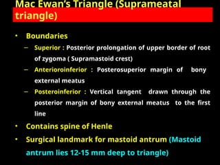 Anatomy of ear and mastoid.ppt //Dr Krishna Koirala | PPT